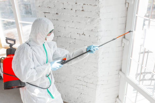 Best Mold Damage Restoration  in Lakewood Ranch, FL