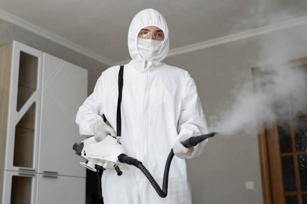 Mold Removal for HVAC Installations in Lakewood Ranch, FL